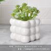 Vaso de Porcelana Branca de Dehua Vaso para Flores Suculentas Branco Puro Moderno Jardinagem Doméstica Cerâmica Vaso Pequeno Simples Transfronteiriço Vaso Pequeno para Plantio de Suculentas