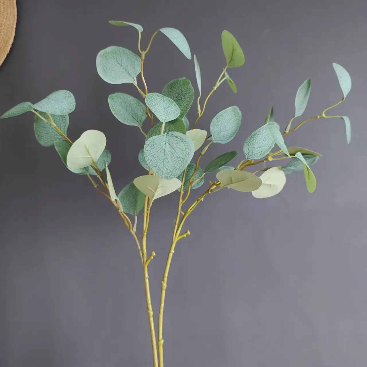 upload