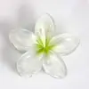 Presilha de Cabelo Flor de Frangipani Mais Vendida, Presilha de Garra para Cabelo, Presilha Tubarão, Tamanho Grande para Cabelos Grossos, Acessórios Populares, Joias Yiwu