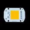 AC220V sem driver 50W LED integrado branco branco quente lâmpada spot de estrada lâmpada de projeção chip de lâmpada placa de lâmpada 20-200W