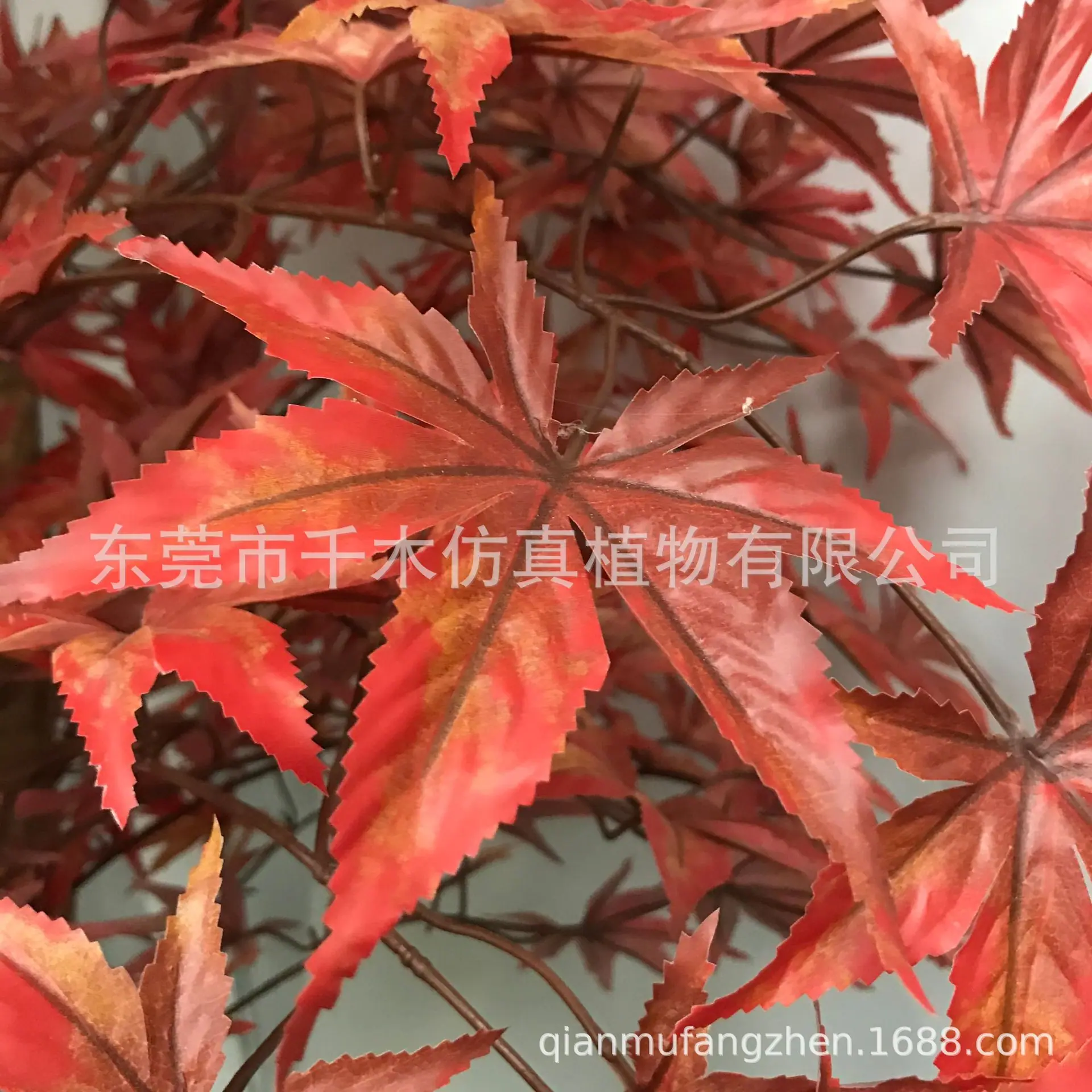 微信图片_2021052809445341