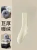 Meias Grossas Forradas com Lã para Outono e Inverno, Espessadas e Forradas com Lã, Resistentes ao Odor, Meias de Algodão Quentes de Cano Médio, Meias para Casa, Meias de Atoalha Resistentes ao Frio