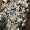 Nueva Llegada de Luo Han Guo en Guilin, Guangxi, Luo Han Guo de Alta Calidad Fruta Grande, Caja Completa al por Mayor de Luo Han Guo, Suministro Directo desde el Origen