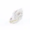 Ornamentos para Aquário Tanque de Peixes Paisagem de Grama Aquática Dinossauro Crocodilo Ovelha Crânio de Resina Lobo Animal Quarto de Animal de Estimação Crânio