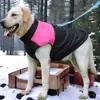 Roupas de Pet Mais Vendidas, Jaquetas de Penas para Cachorro, Roupas de Inverno, Novas Jaquetas Quentes para Gato, Roupas de Esqui