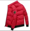 E-commerce Transfronteiriço Mais Vendido Jaqueta de Algodão Masculina de Inverno com Gola Alta Cabeça de Tigre Casaco Acolchoado de Algodão Espesso Quente Roupas de Algodão Proteção Contra o Frio Jaqueta Acolchoada de Algodão Espessa