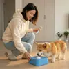 Tazón para lamer para gato y perro, snack de comida húmeda, golosinas para gatos, tazón de alimentación lenta, tazón de comida antiderrames, utensilios para comida de mascotas pequeñas y medianas
