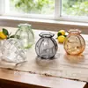 Atacado de vasos de vidro soda-cálcica transfronteiriços, potes de vidro para armazenamento, decorações de sala de estar estilo renda de luxo leve, vasos para flores hidropônicas