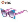 Gafas de sol para mujer personalizadas ojo de gato mariposa patrón de color gafas de sol personalizadas modernas europeas y americanas transfronterizas para reparar el rostro 6148