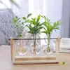 Jarrón de cristal creativo para arreglos florales de sala de estar, recipiente hidropónico transparente simple para plantas pequeñas, maceta de boca estrecha