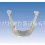 透明下颌骨模型医学模型KY0060