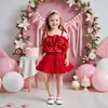 Mercadorias de Comércio Exterior Transfronteiriço Conjunto Original de Verão para Meninas com Top Halter Floral 3D e Saia Tutu Conjunto de Duas Peças, Conjunto de Vestido Princesa em Renda