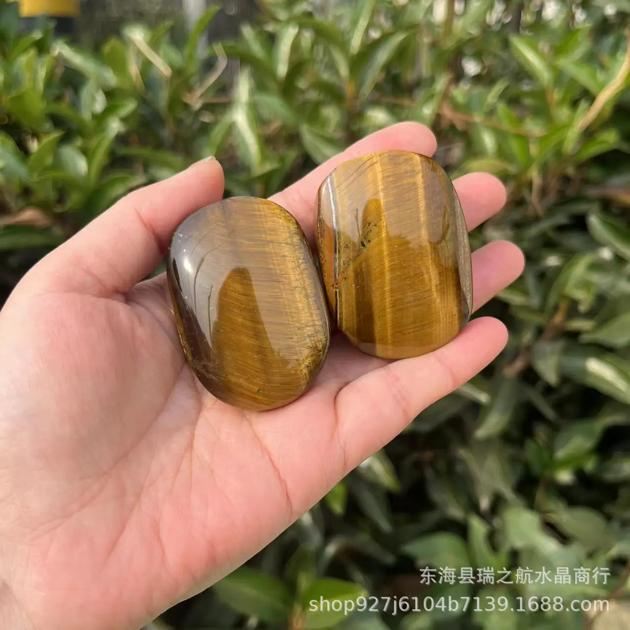 SKU-02-黄虎眼