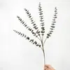 Planta Simulada de Hojas de Eucalipto Hojas Spray en Polvo Goma Suave Tallo Único Hoja de Dinero Flor Artificial Decoración del Hogar Flor Flor de Boda Arreglo Floral