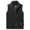 AliExpress Colete de Algodão com Penas Novo de Inverno Masculino Moda Colete Quente Espessado Colete de Cintura Jaqueta sem Mangas