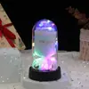 Mini Ramo Transfronterizo de Flores de Jabón, Rosas Eternas Cubiertas de Acrílico, Regalo de Cumpleaños, Adorno Luminoso de Escritorio