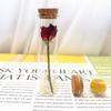 Espécime de Flor de Rosa Seca Real em um Tubo de Vidro, Gipsofila, Presente de Aniversário, Buquê de Dia das Mães, Dia das Mães