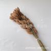 Flor flor seca natural hierba de la belleza decoración del hogar adornos flor eterna hierba gema multicolor mancha venta al por mayor