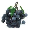 Simulación guirnalda de frutas espuma ojo de dragón longan lichi arándano cereza accesorios de fruta falsa accesorios de rodaje