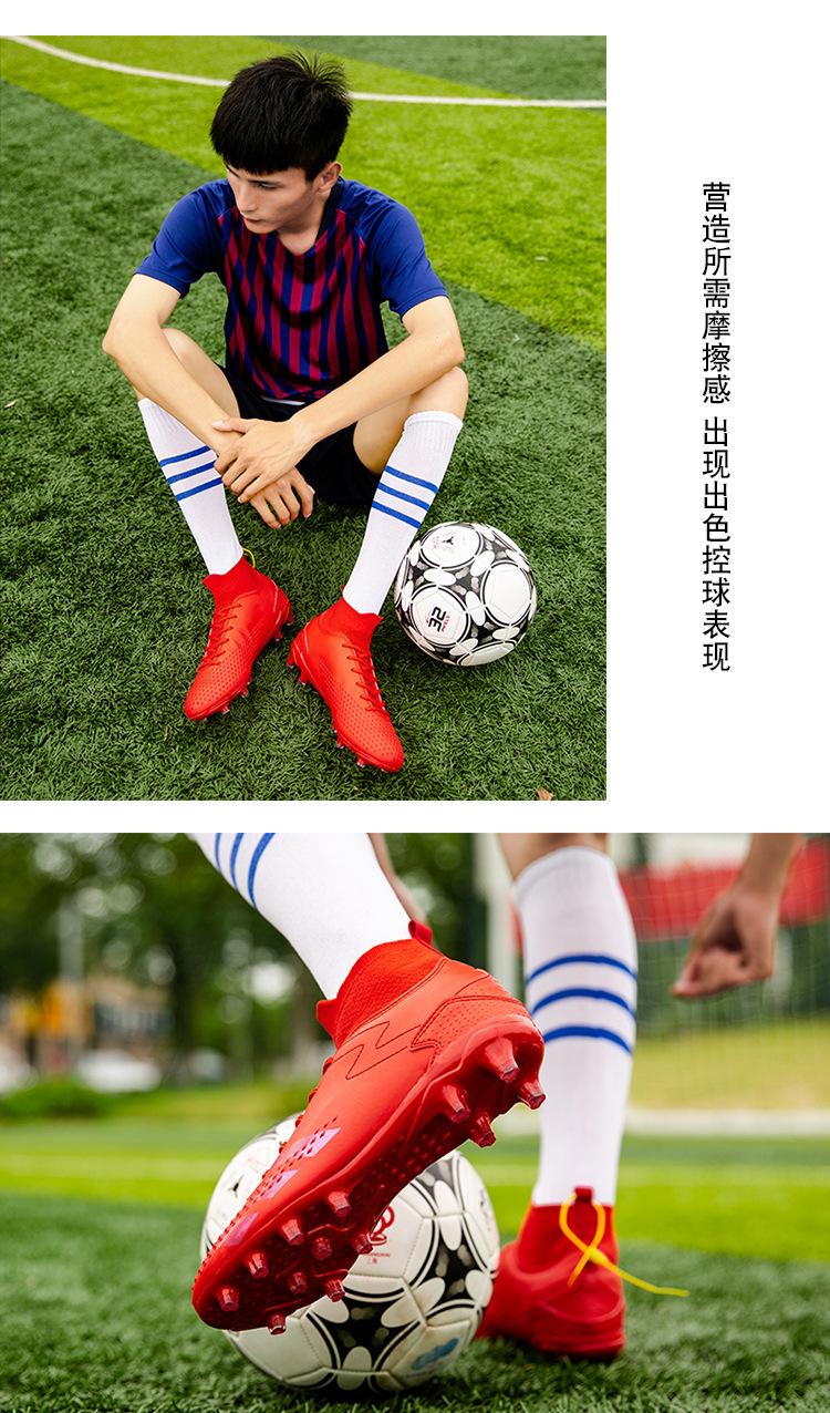 版面 (24).jpg
