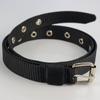 Cinturón de Ojal con Hebilla de Pin para Mujer Cinturón Estrecho Nuevo Cinturón de Lona de Nailon Sencillo Combinable con Todo Hebilla de Pin Cinturón Casual para Pantalones