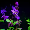 Adornos para Decoración de Mesas de Restaurante, Hierba Acuática Artificial, Paisajismo para Acuarios, Flores y Plantas de Plástico, Fuente de Césped Artificial para Acuarios