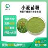 Pó de Plântula de Trigo, Pó Verde de Trigo, Bebida Sólida de Extrato de Plântula de Trigo, Pó para Substituição de Refeição de Frutas e Vegetais, Pode Ser Inspecionado e Amostrado