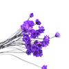 Flor Seca DIY Aromaterapia Difusor de Fragancia Accesorios Ratán Botella Vacía Adornos Varillas de Fibra Difusora Set de Fragancia