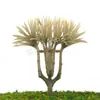Mesa de Areia Modelo Árvore Musgo Decoração de Micro Paisagem Árvore Falsa Modelo de Paisagismo Artificial Árvore de Amora Árvore de Natal Árvore Falsa