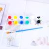 Pintura Acrílica Seleccionada Cuidadosamente Set de 12 Colores Juego de 6 Piezas Pintura Artística para Estudiantes Colorear Muñeco de Yeso Tira de Pintura Mancha Fábrica