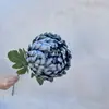Haste Única de Flor de Crisântemo Artificial, Decoração de Flor Falsa Realista, Flor Artificial de Seda Realista de Alta Qualidade para Arranjo de Casamento