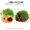 Aquário Musgo Terrário Planta Aquática Paisagismo Planta Real Tanque de Esconderijo para Peixes e Camarões Casa de Camarão Pequeno Ornamento Casa de Esconderijo para Criação de Peixes Pequenos