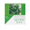 Regenerador de Planta-Aranha Dourada, solução nutritiva sem diluição, terra para vasos de plantas verdes e flores, fertilizante para jardinagem caseira, fertilizante foliar