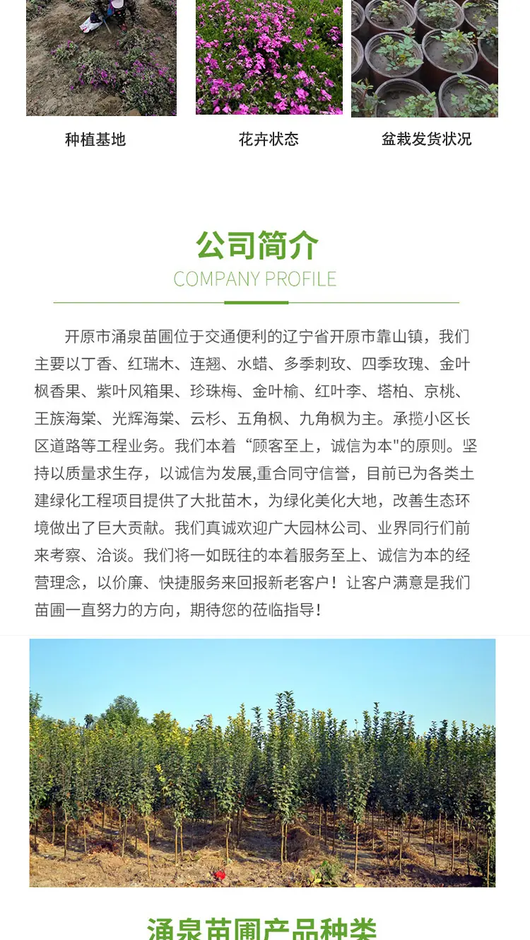 详情页_07