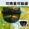 Paisajismo de Acuario Anillo Flotante de Alimentación Alimentador Escondite Set Creativo Sin Instalación Requerida para Peces Pequeños