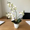 Planta de vaso artificial de orquídea Phalaenopsis, 2 hastes, 21 flores, para sala de estar e quarto, planta de vaso de flor artificial para decoração de fotografia de casamento, vaso pequeno