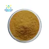 Extracto de Clavo Ingrediente Alimenticio Saludable Polvo de Clavo Fuente Soluble en Agua Fábrica Stock Listo Extracto de Clavo