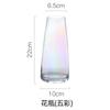 Jarrón de vidrio transparente con diseño mágico Aurora de estilo nórdico, ideal para decorar la sala de estar, el escritorio y el agua dulce.