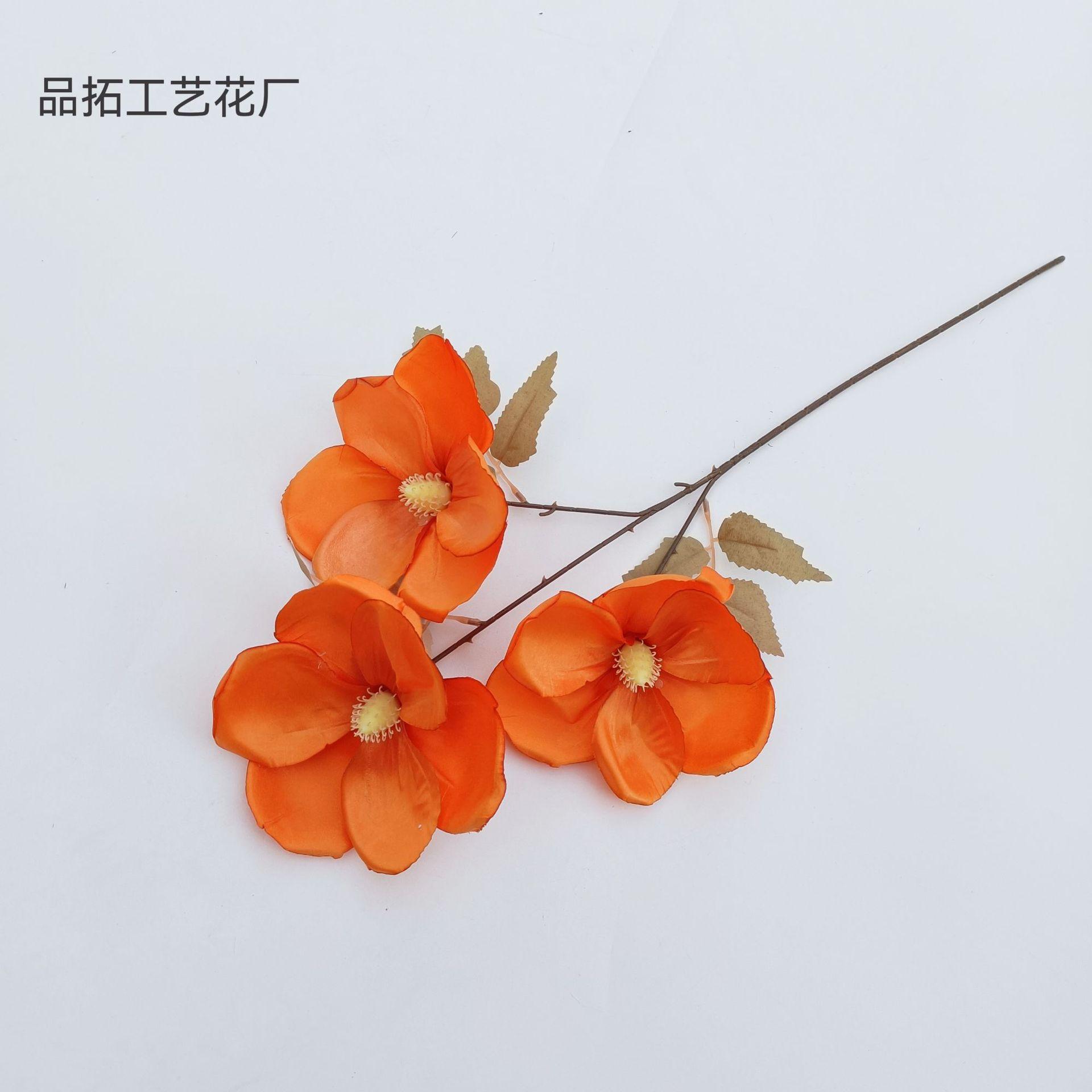 acab9747f1efac60d5ad2f105766f2