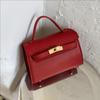 Bolso de Mano Nicho de Aspecto Elevado para Mujer 2025 Verano Nuevo Trendy y Elegante Trabajo Hombro Cruzado Bolso Kelly