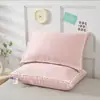 Núcleo de Almohada de Belleza con Ácido Hialurónico Nuevo 2026