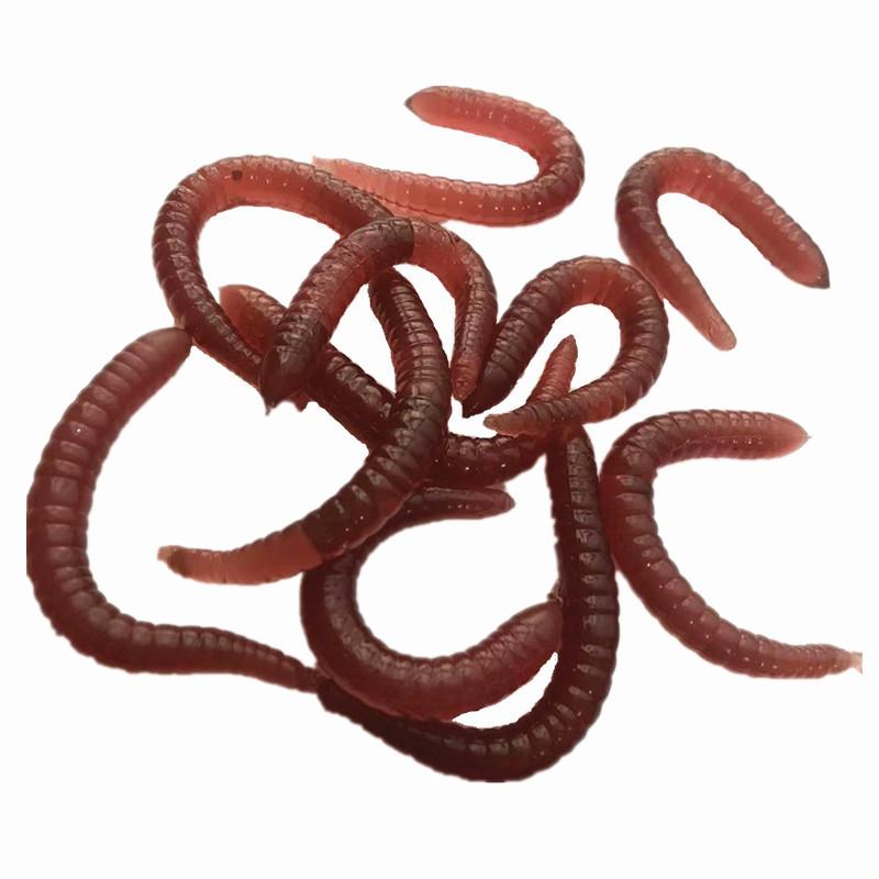 73ccea81cd48f2d7ed53ef44e8f9ad