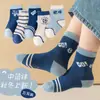 Calcetines para Niños para Primavera, Otoño e Invierno, Algodón Peinado Clase A, Calcetines Lindos de Dibujos Animados para Niños y Niñas, Venta al por Mayor de Calcetines Zhuji