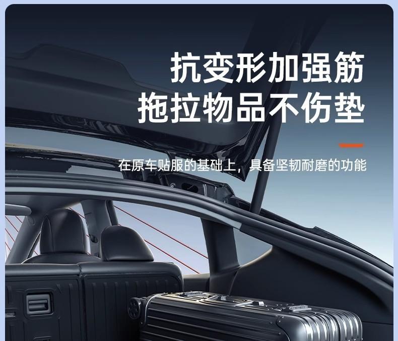 8f33bc35-6fc8-4865-b030-0cd53a6067df.jpe