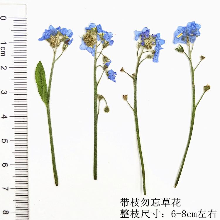 IMG20190623101020