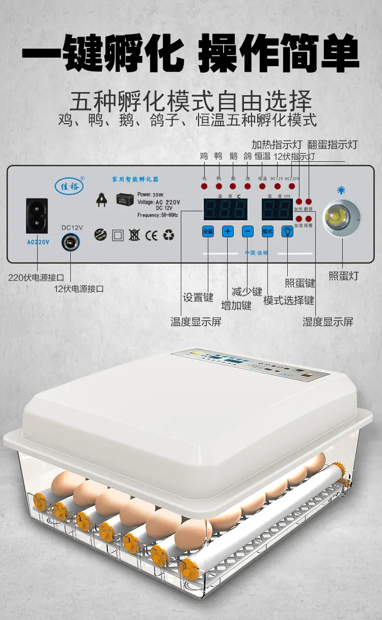详情4