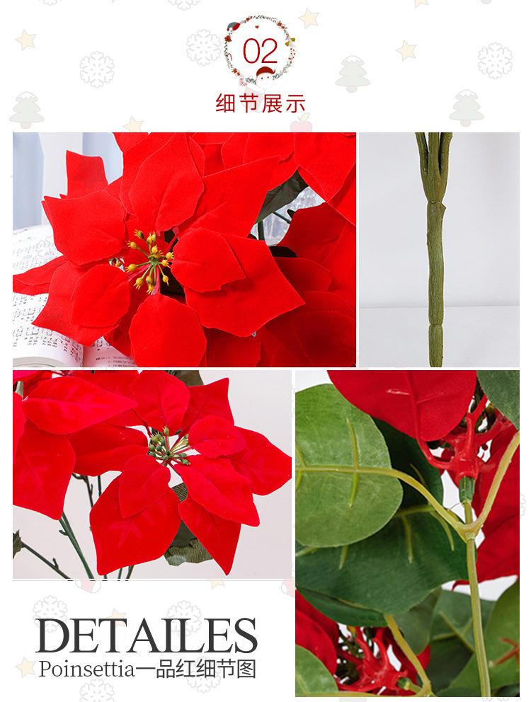详情页_04.jpg