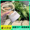 Fragancia Desodorante para Baño y Dormitorio, Ambientador de Aire con Aroma Fresco, Fragancia para Interiores con Aire Invertido, Elimina el Olor del Inodoro