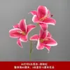 3 Flores de Lirio Simulación 3D Pequeño Libro Rojo Mismo recomendar Boda Decoración de Boda Flor Ventana Fotografía Paisaje