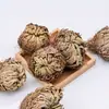 Novos Produtos na Expo do Vendedor de Rua: Atacado de Planta Lycopodium, Que Fica Verde Quando Molhada em Água, uma Erva Medicinal Chinesa Conhecida como a "Grama Nove-Mortes-Retorno-à-Vida."